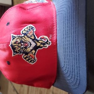 Florida panthers hat